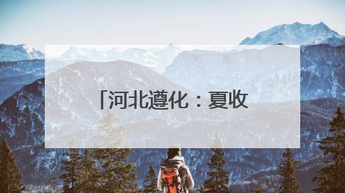 河北遵化：夏收时节田园如画