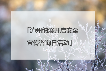 泸州纳溪开启安全宣传咨询日活动