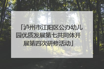 泸州市江阳区公办幼儿园优质发展第七共同体开展第四次研修活动