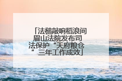 法槌敲响稻浪间 眉山法院发布司法保护“天府粮仓”三年工作成效