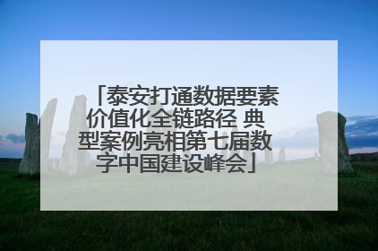 泰安打通数据要素价值化全链路径 典型案例亮相第七届数字中国建设峰会