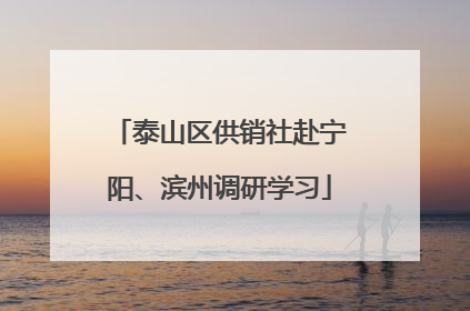 泰山区供销社赴宁阳、滨州调研学习