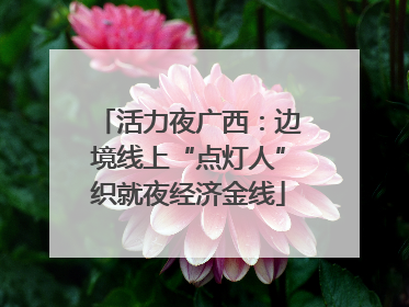 活力夜广西：边境线上“点灯人”织就夜经济金线