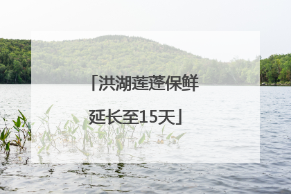 洪湖莲蓬保鲜延长至15天