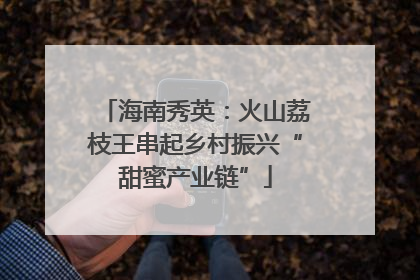 海南秀英：火山荔枝王串起乡村振兴“甜蜜产业链”