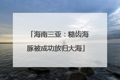 海南三亚：糙齿海豚被成功放归大海