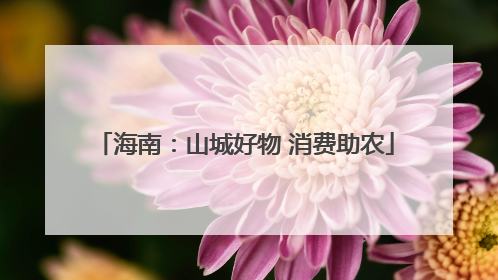 海南：山城好物 消费助农