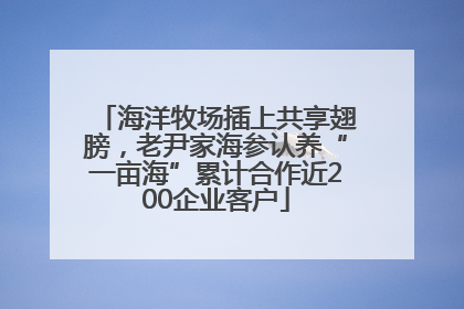 海洋牧场插上共享翅膀，老尹家海参认养“一亩海”累计合作近200企业客户