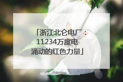 浙江北仑电厂：11234万度电涌动的红色力量