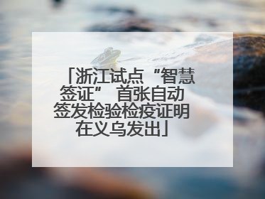 浙江试点“智慧签证” 首张自动签发检验检疫证明在义乌发出