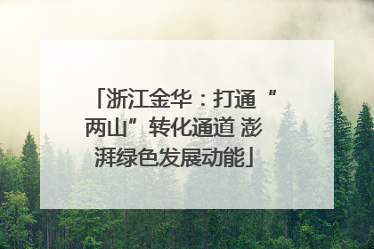 浙江金华：打通“两山”转化通道 澎湃绿色发展动能