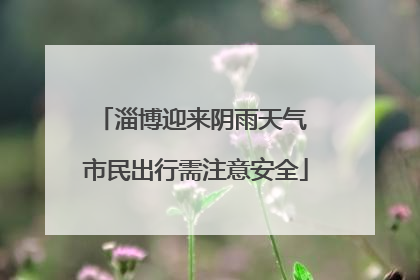 淄博迎来阴雨天气 市民出行需注意安全