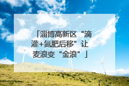 淄博高新区“滴灌+氮肥后移”让麦浪变“金浪”