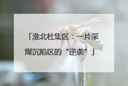 淮北杜集区：一片采煤沉陷区的“逆袭”