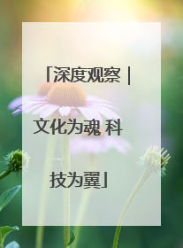 深度观察｜文化为魂 科技为翼