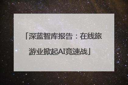 深蓝智库报告：在线旅游业掀起AI竞速战
