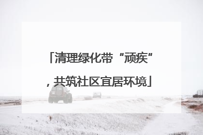 清理绿化带“顽疾”，共筑社区宜居环境