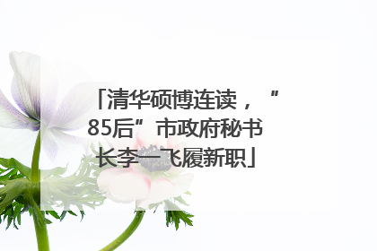 清华硕博连读，“85后”市政府秘书长李一飞履新职