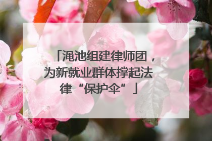 渑池组建律师团，为新就业群体撑起法律“保护伞”