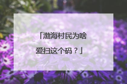 渤海村民为啥爱扫这个码？