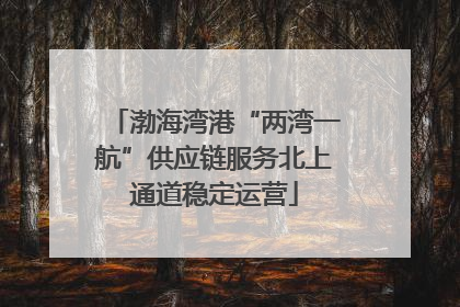 渤海湾港“两湾一航”供应链服务北上通道稳定运营