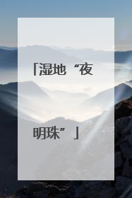 湿地“夜明珠”