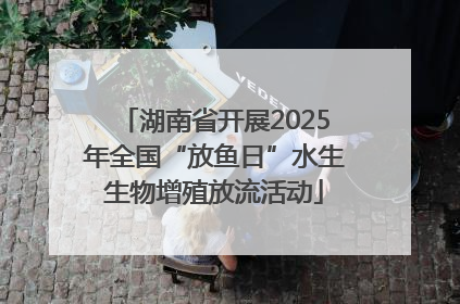 湖南省开展2025年全国“放鱼日”水生生物增殖放流活动