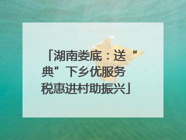 湖南娄底：送“典”下乡优服务 税惠进村助振兴