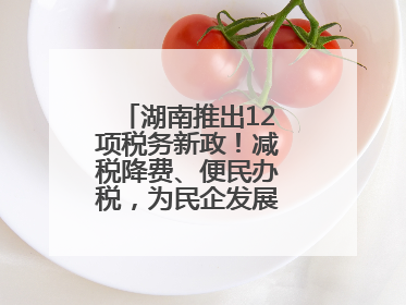 湖南推出12项税务新政！减税降费、便民办税，为民企发展“减负加油”