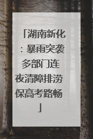 湖南新化：暴雨突袭 多部门连夜清障排涝保高考路畅