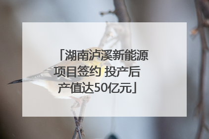 湖南泸溪新能源项目签约 投产后产值达50亿元