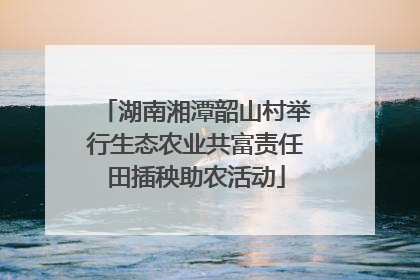 湖南湘潭韶山村举行生态农业共富责任田插秧助农活动