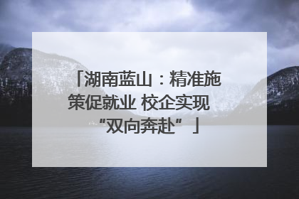 湖南蓝山：精准施策促就业 校企实现“双向奔赴”