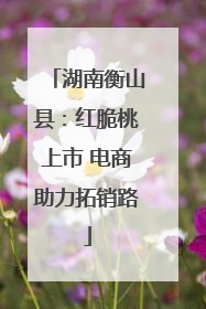 湖南衡山县：红脆桃上市 电商助力拓销路