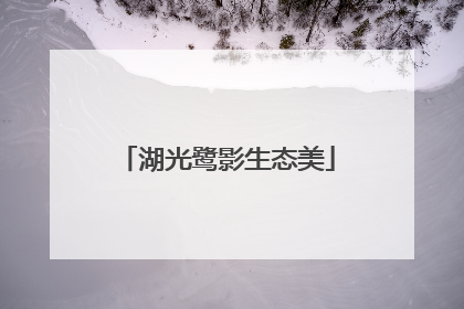 湖光鹭影生态美