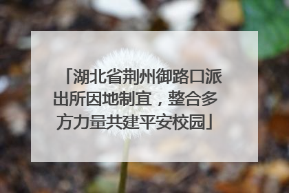 湖北省荆州御路口派出所因地制宜，整合多方力量共建平安校园