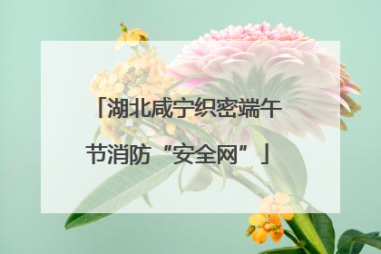 湖北咸宁织密端午节消防“安全网”