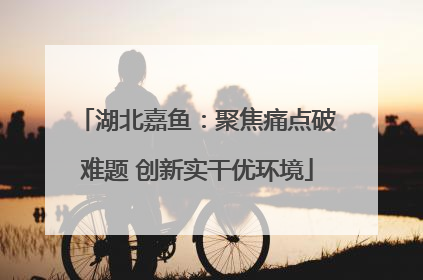 湖北嘉鱼：聚焦痛点破难题 创新实干优环境
