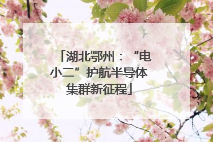 湖北鄂州：“电小二”护航半导体集群新征程