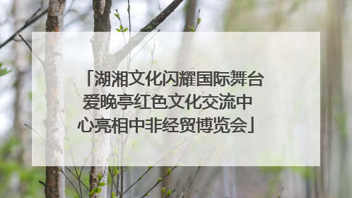湖湘文化闪耀国际舞台 爱晚亭红色文化交流中心亮相中非经贸博览会