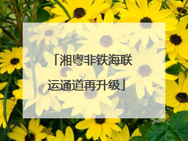 湘粤非铁海联运通道再升级