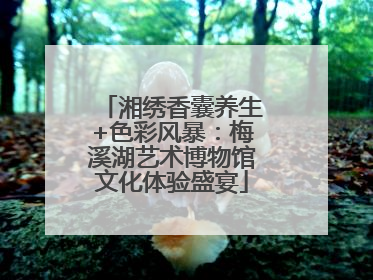 湘绣香囊养生+色彩风暴：梅溪湖艺术博物馆文化体验盛宴