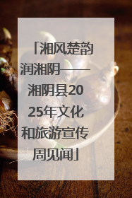 湘风楚韵润湘阴——湘阴县2025年文化和旅游宣传周见闻