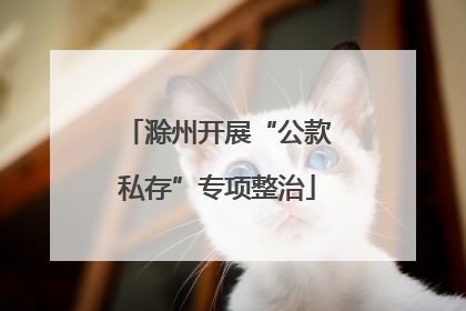 滁州开展“公款私存”专项整治