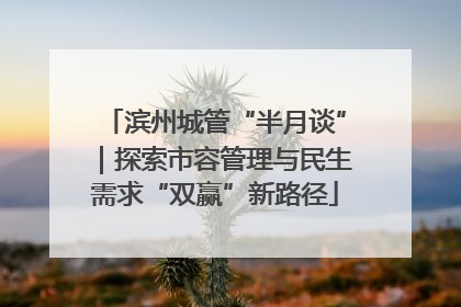 滨州城管“半月谈”｜探索市容管理与民生需求“双赢”新路径