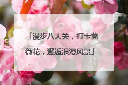 漫步八大关，打卡蔷薇花，邂逅浪漫风景
