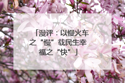 漫评：以慢火车之“慢”载民生幸福之“快”