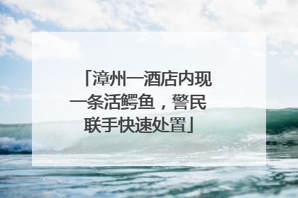漳州一酒店内现一条活鳄鱼，警民联手快速处置