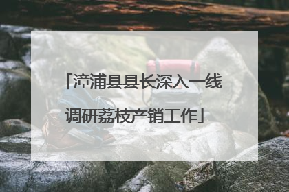 漳浦县县长深入一线调研荔枝产销工作