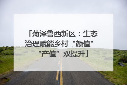 菏泽鲁西新区：生态治理赋能乡村“颜值”“产值”双提升